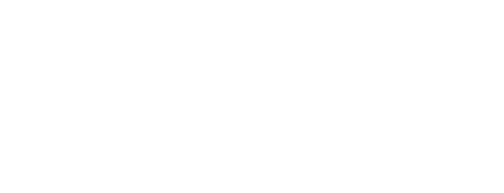 La Chirologie Védique